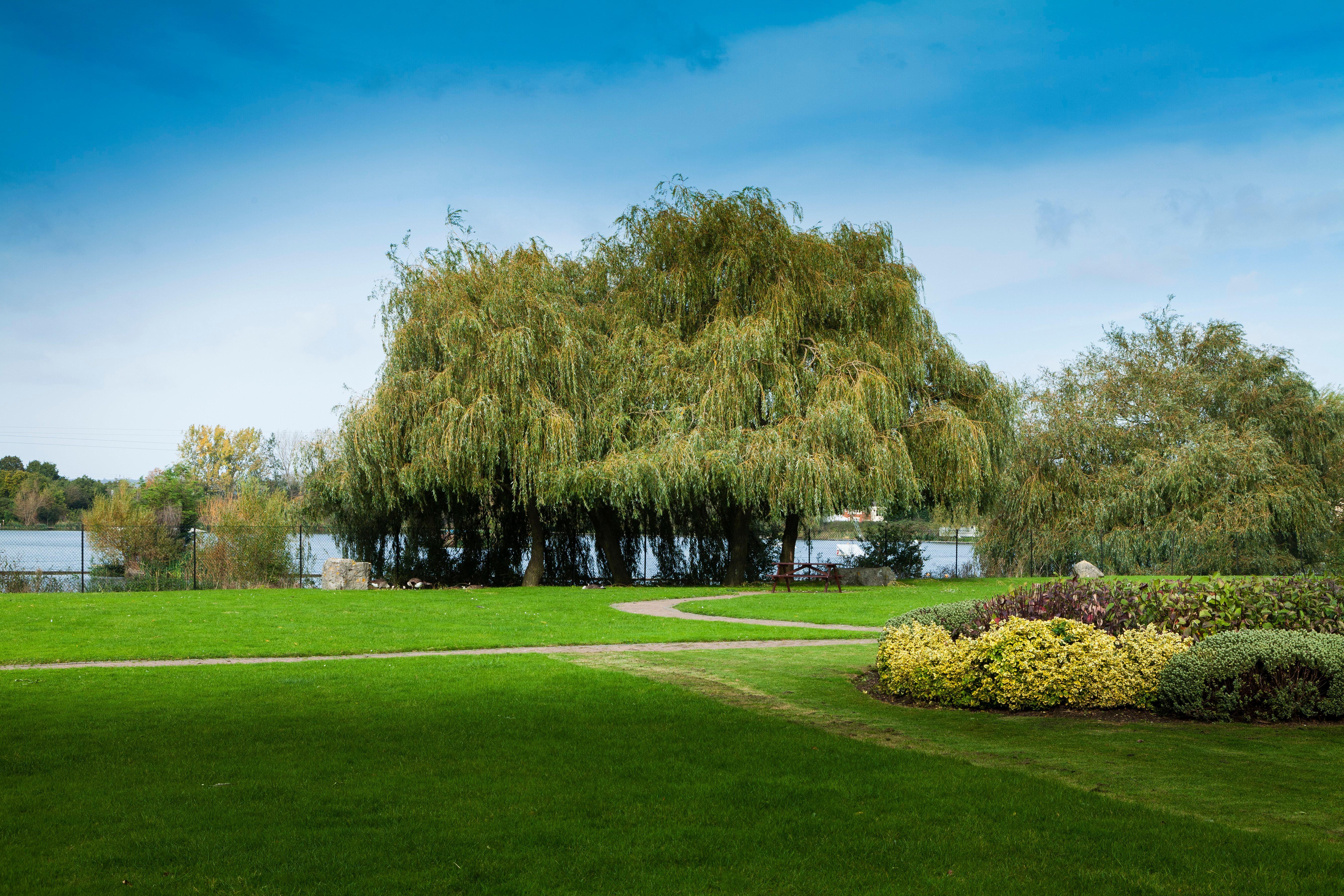 Holiday Inn Basildon By Ihg Экстерьер фото
